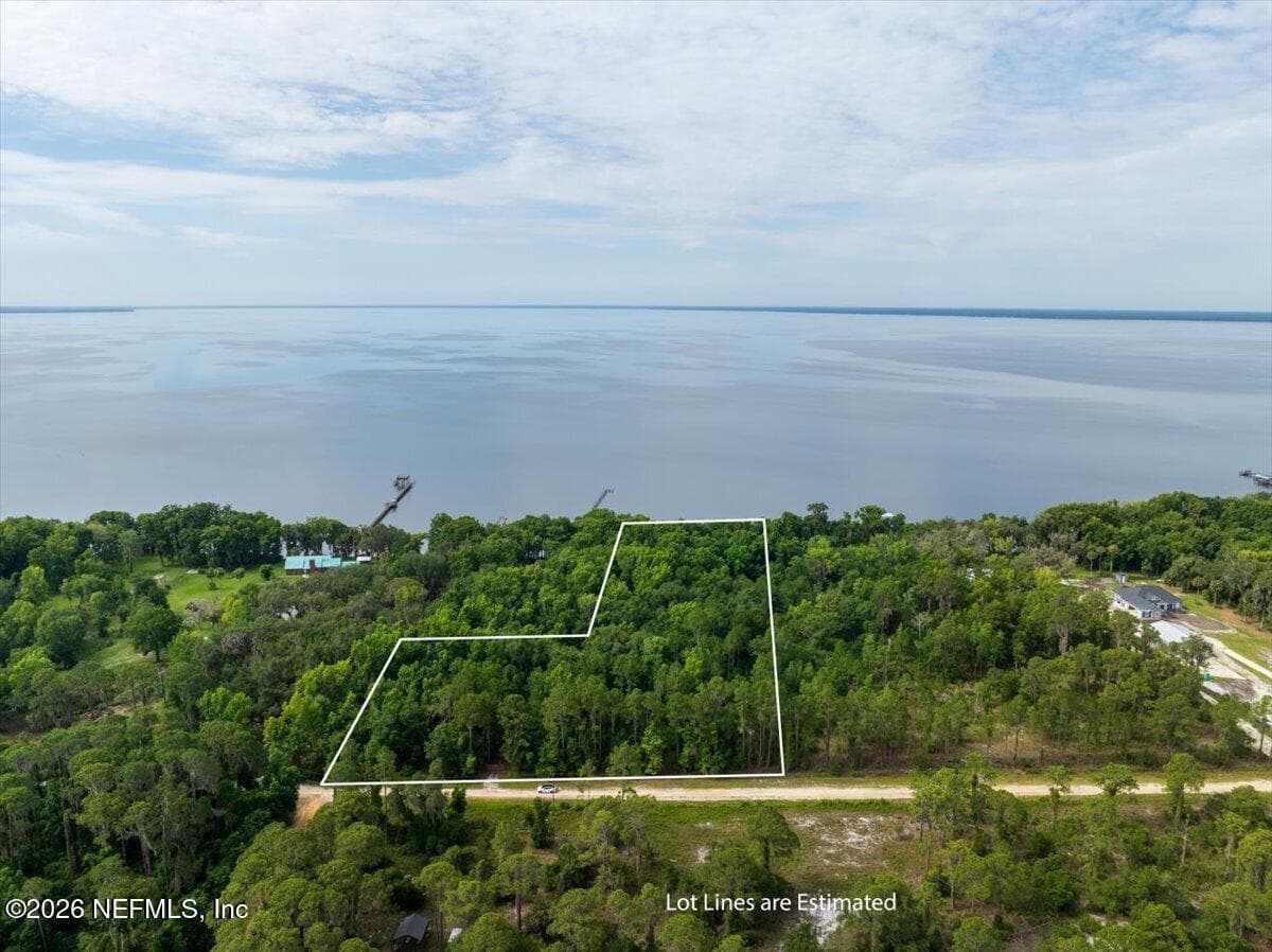 00 ATKINS Road, Georgetown, FL 32139, Georgetown, FL - photo 1
