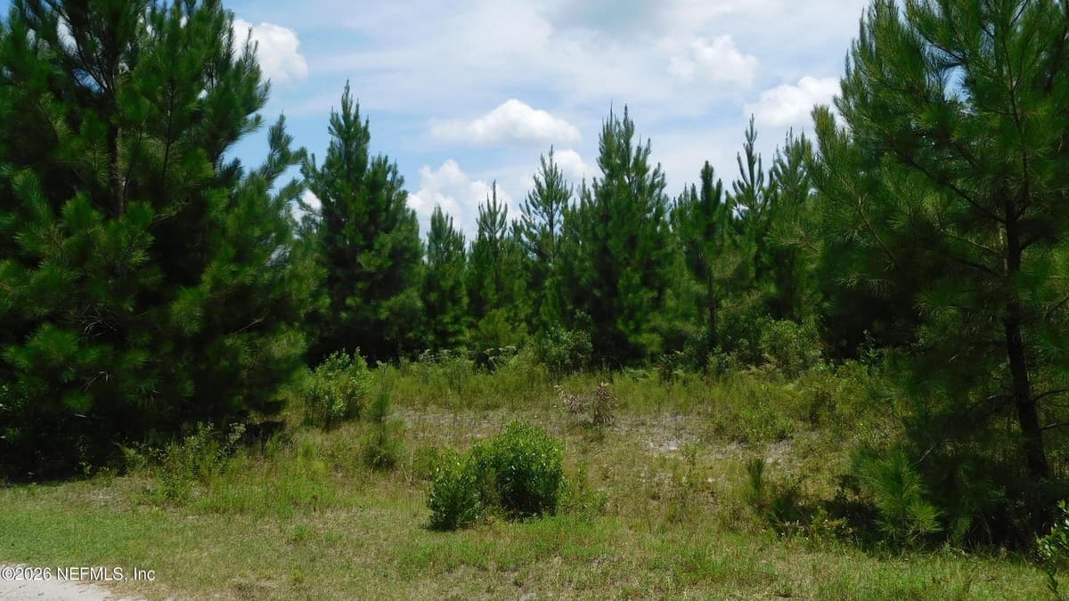 56585 DAVIS Road, Callahan, FL 32011, Callahan, FL - photo 3